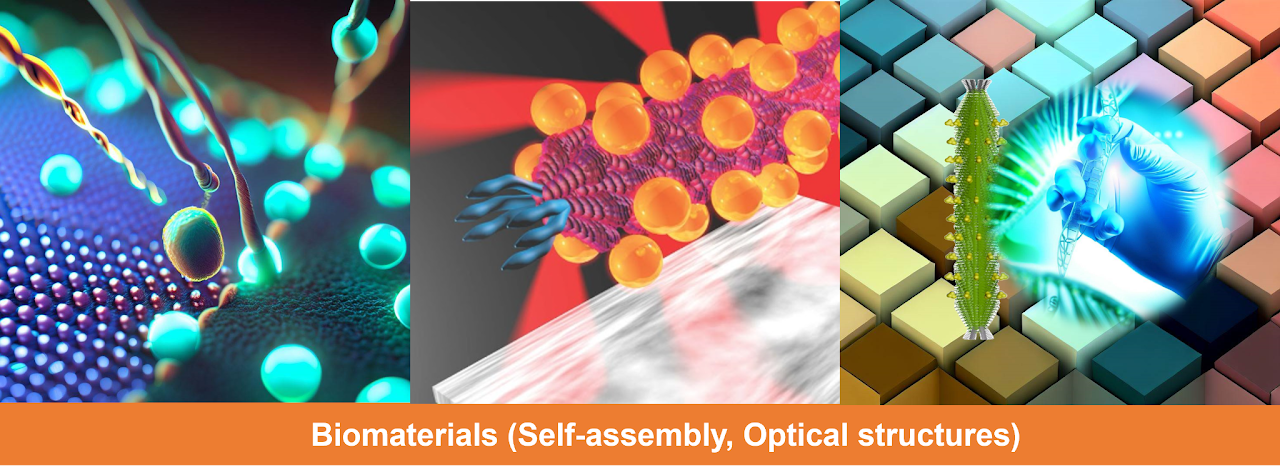 Self-Assembly Model